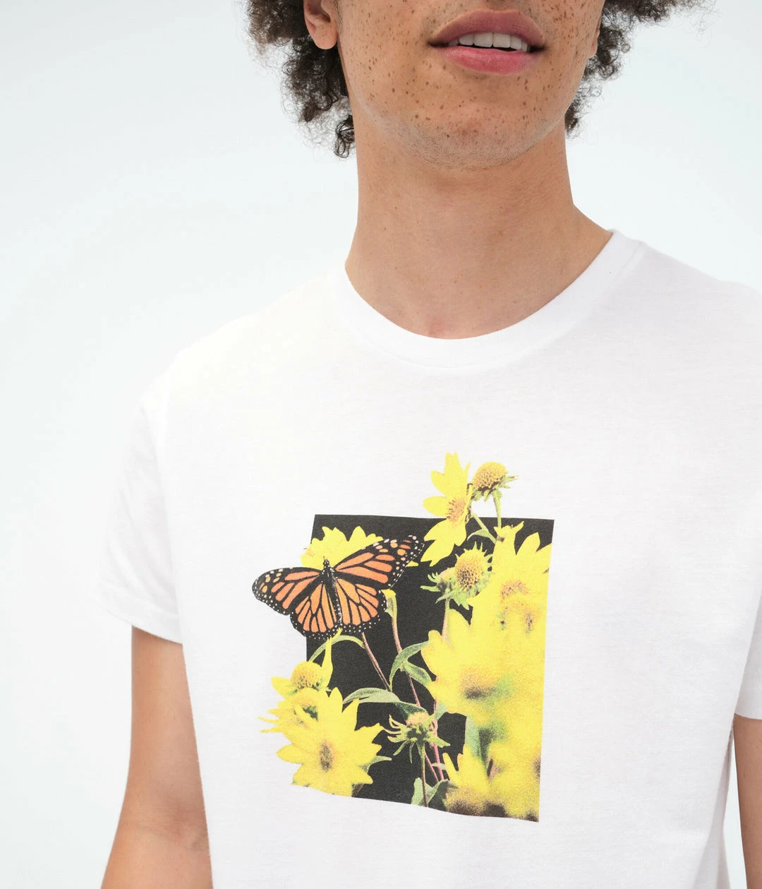 Aeropostale Men's Butterfly Flower Field Graphic Tee - Image 2