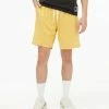 Aeropostale Men's Logo Mesh Shorts