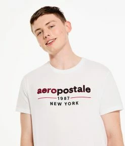 Aeropostale Men's 1987 Logo Appliquac Graphic Tee